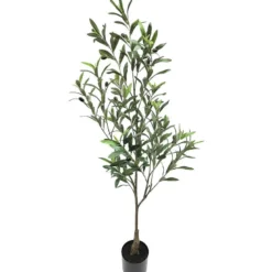 Oliventre