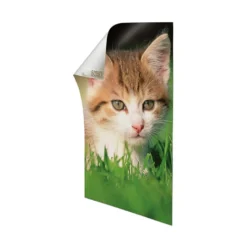 Plakatstrips 12-pk