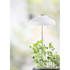 Plantelys