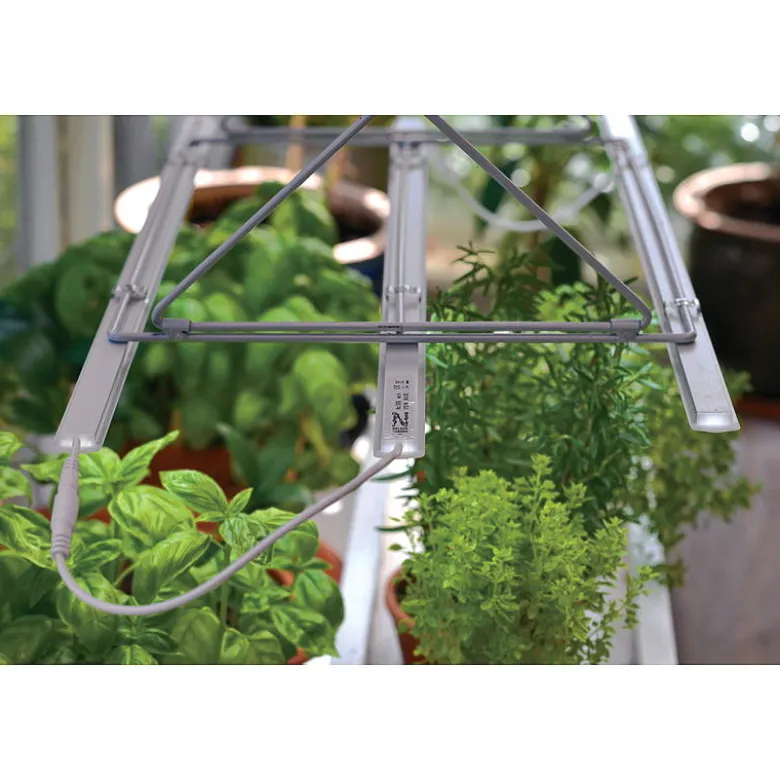 Plantelys 60 cm
