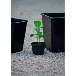 Plastpotte