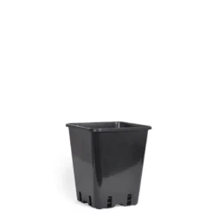 Plastpotte 20 cm