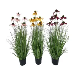 Prydgress plante