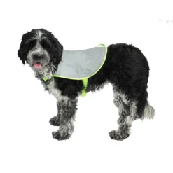Refleksvest hund