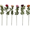 Rosestilk