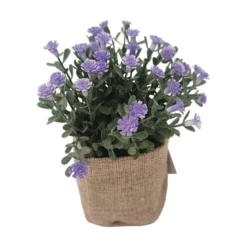 Småblomst