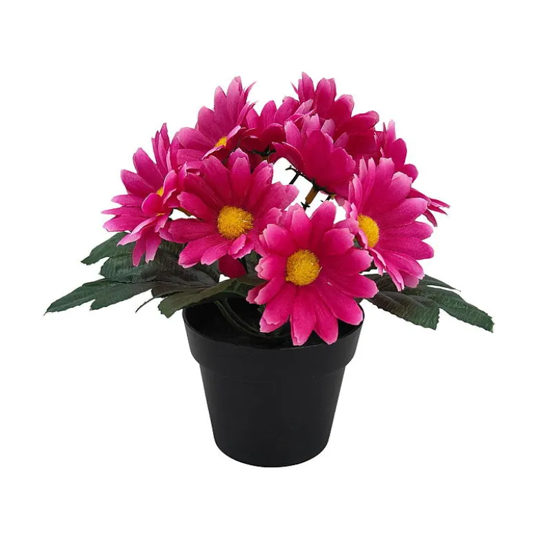 Småblomster