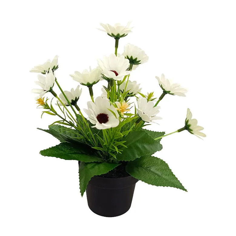 Småblomster