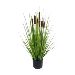 Stråplante