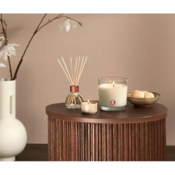 Telys maxi 8-pk