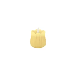 Tulipan