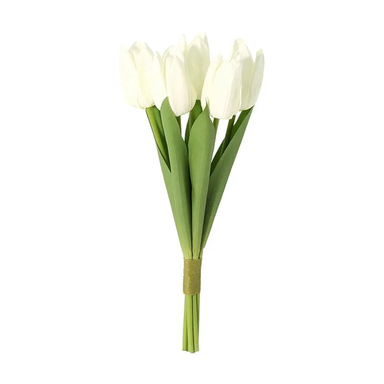 Tulipan 5-pk
