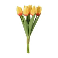 Tulipan 5-pk