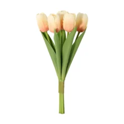 Tulipan 5-pk