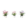 Vårblomst 3-pk
