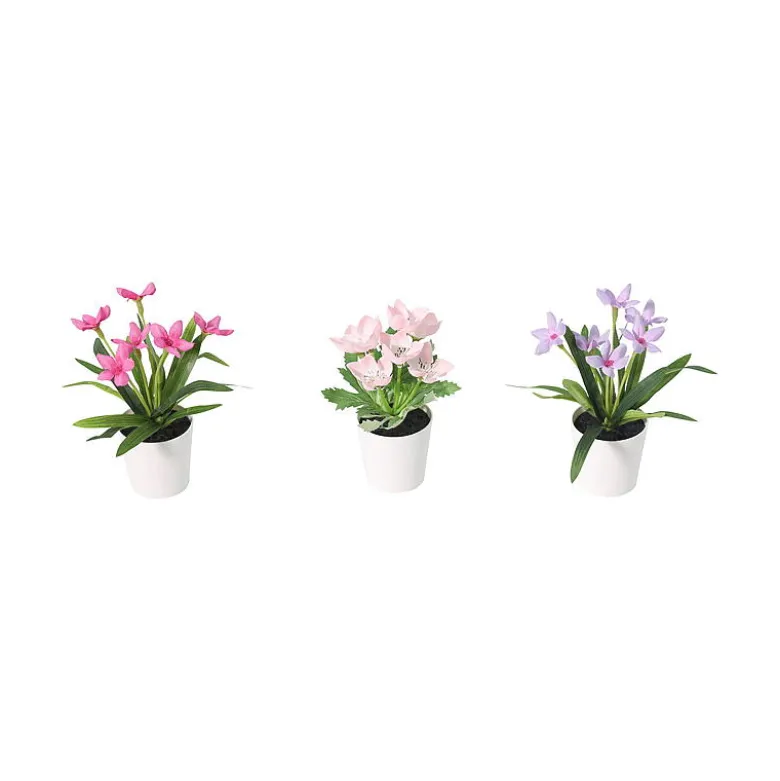 Vårblomst 3-pk