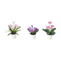 Vårblomst 3-pk
