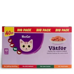 Våtfôr katt 40-pk